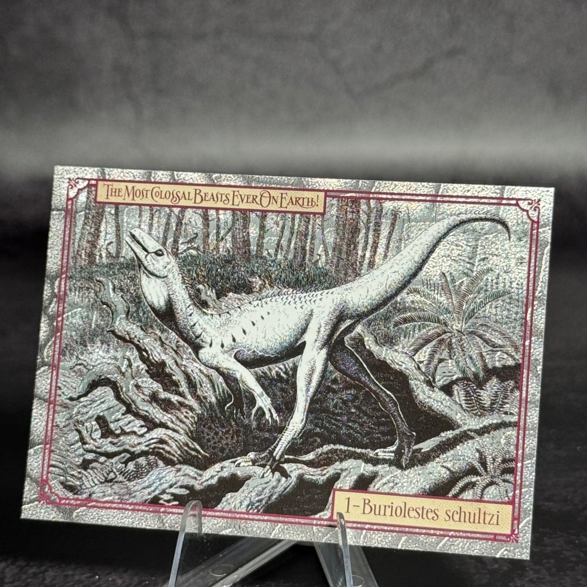 001 | Buriolestes Schultzi by Marzio Mereggia | BraccoTCG