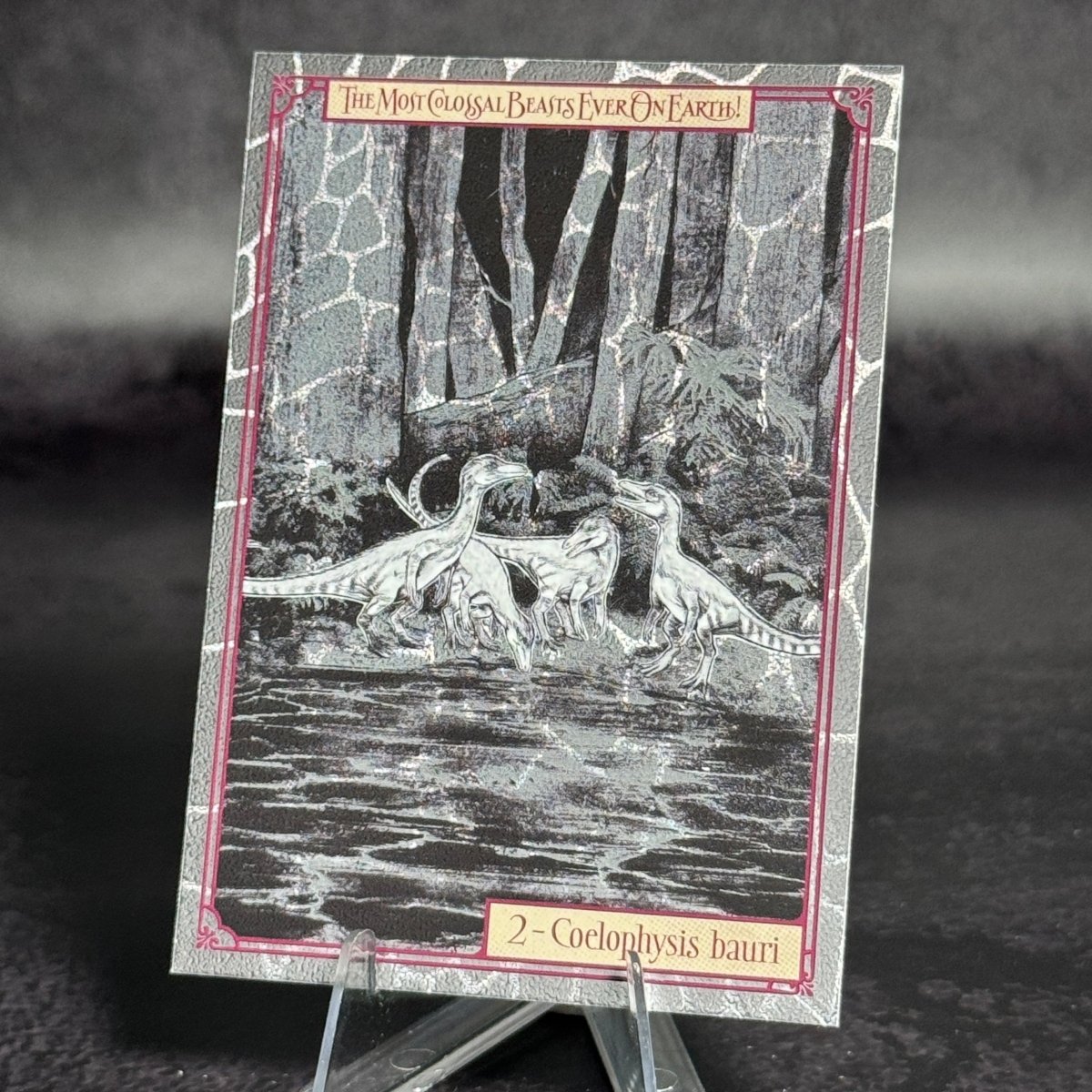 002 | Coelophysis bauri by Helena Masellis | BraccoTCG