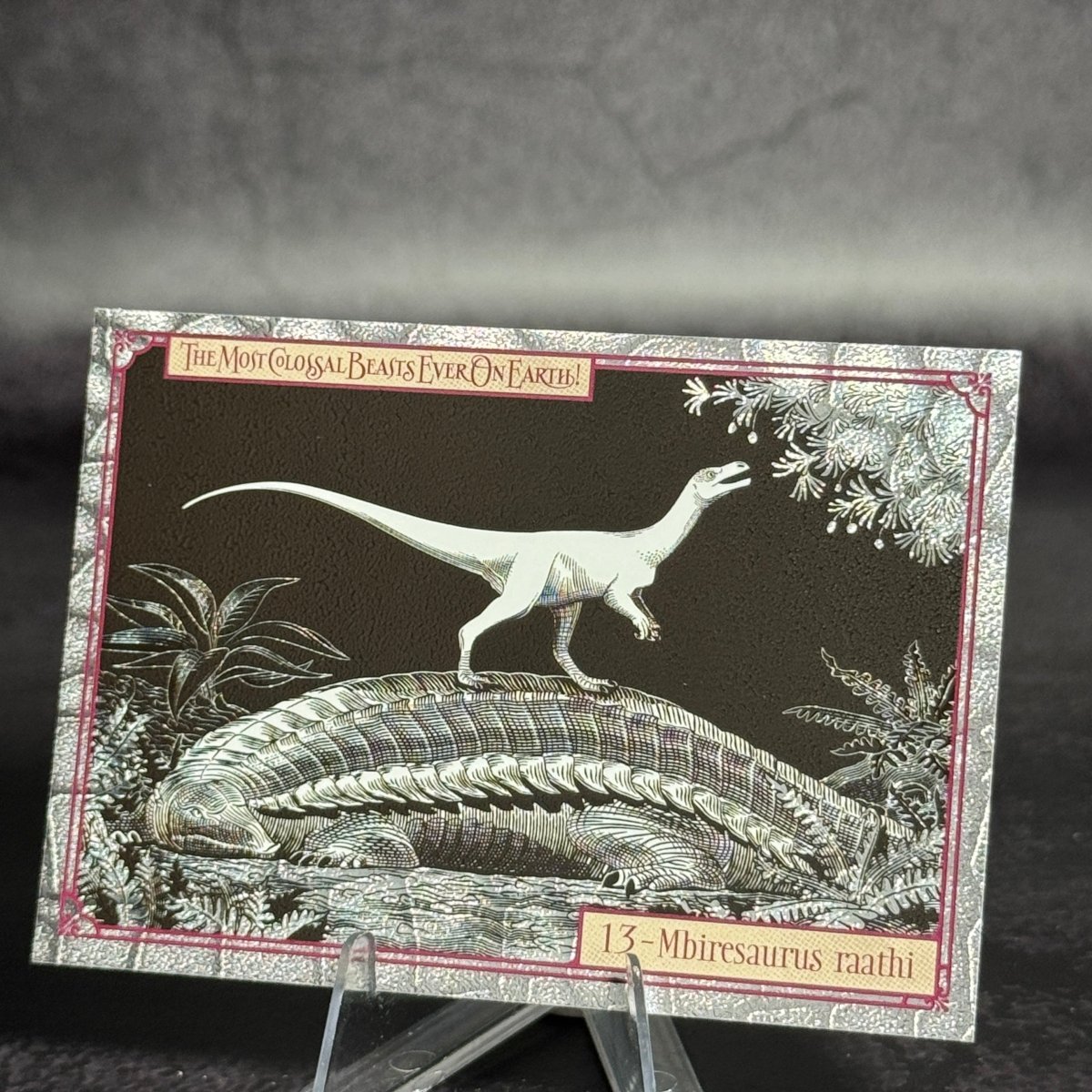 013 | MBIRESAURUS RAATHI by Andrea Morandini | BraccoTCG