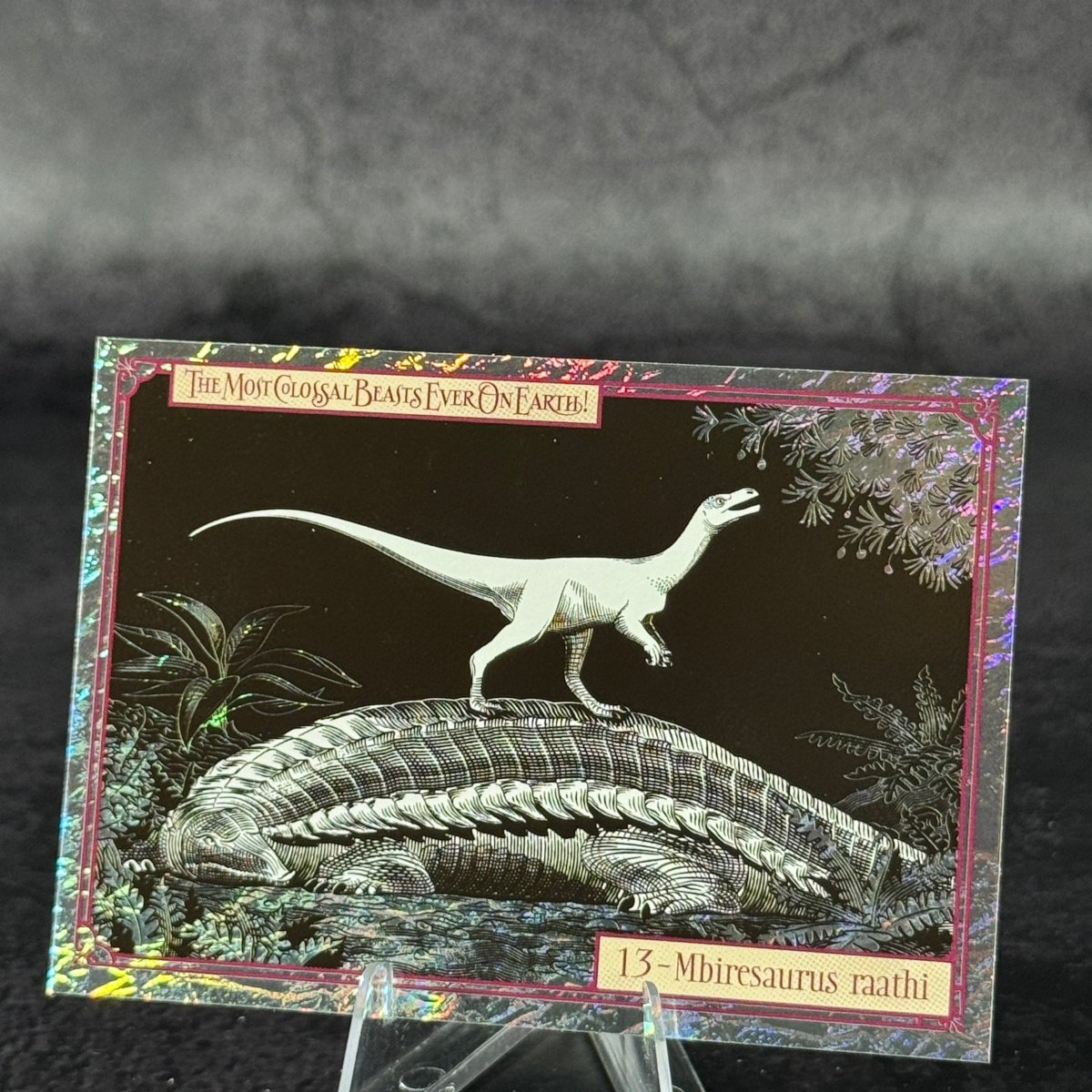 013 | MBIRESAURUS RAATHI by Andrea Morandini | BraccoTCG