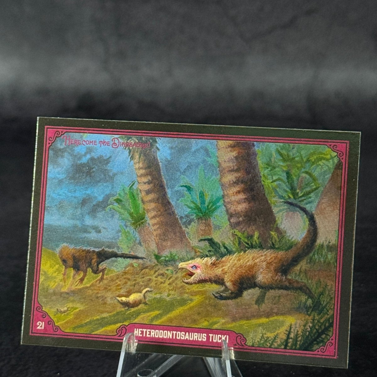 021 | HETERODONTOSAURUS TUCKI by Domenico Cava | BraccoTCG