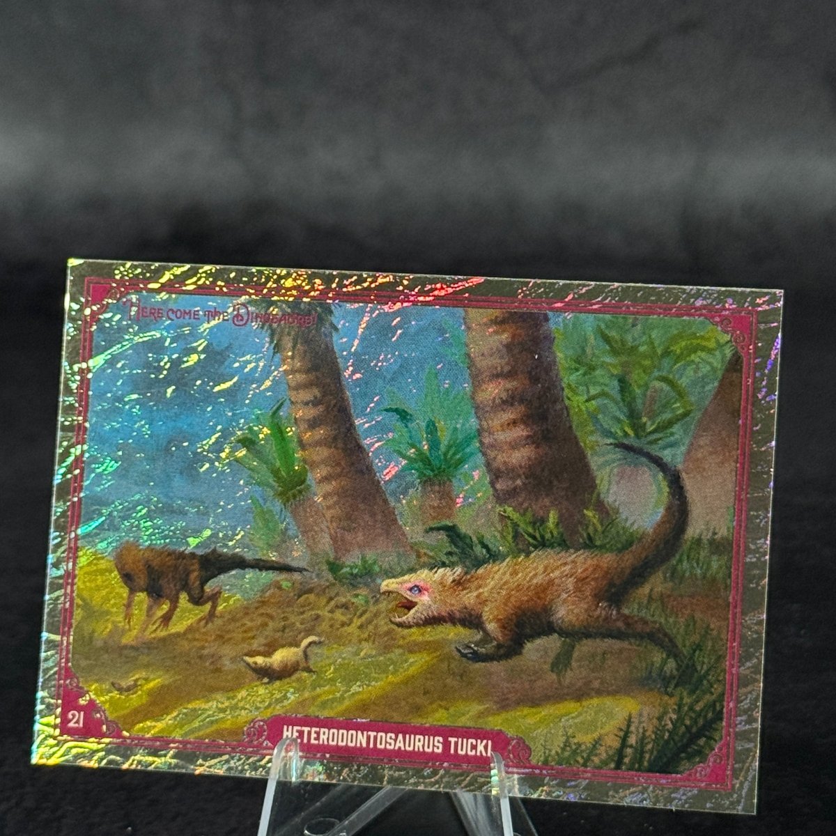 021 | HETERODONTOSAURUS TUCKI by Domenico Cava | BraccoTCG