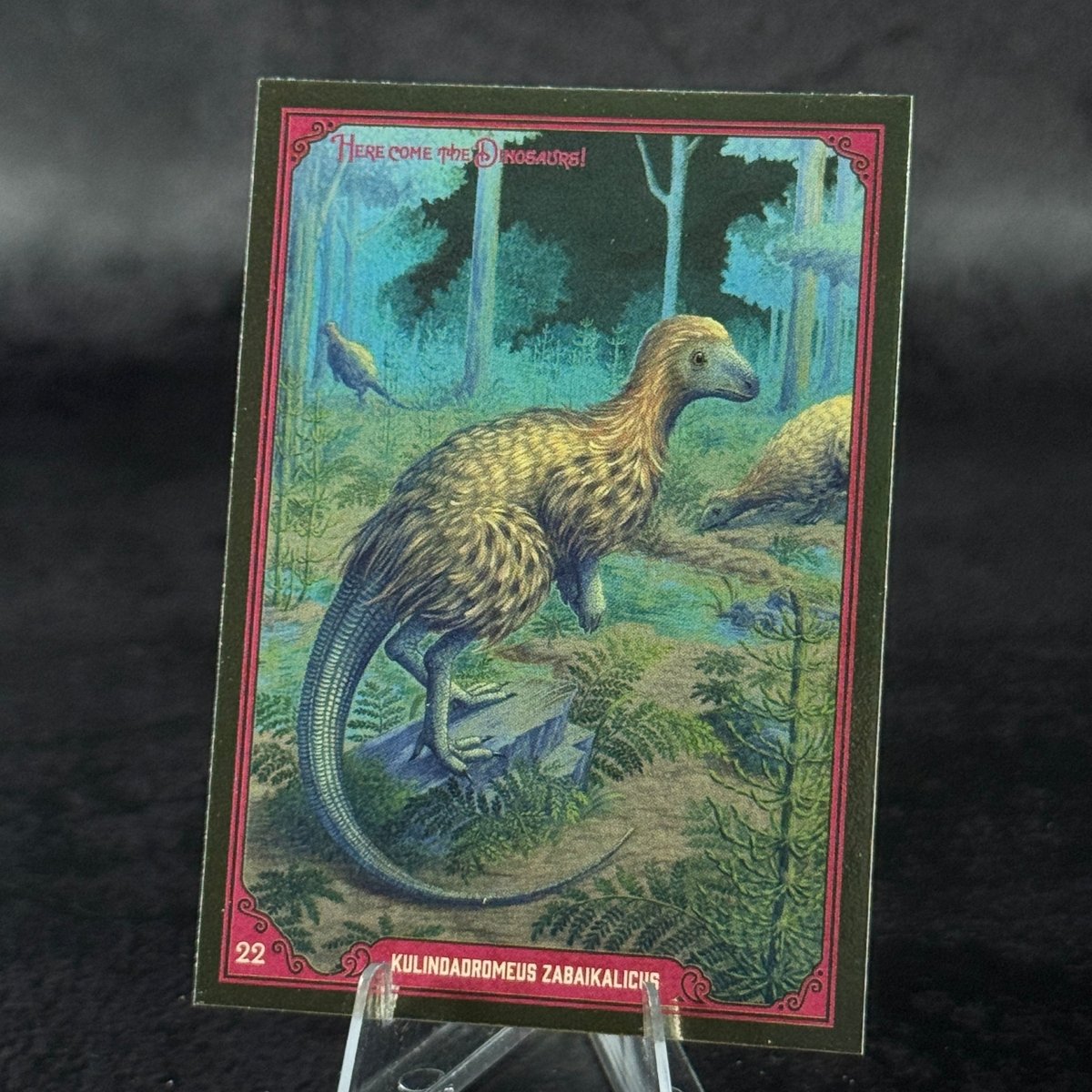 022 | KULINDADROMEUS ZABAIKALICUS by Silvia Guidolin | BraccoTCG