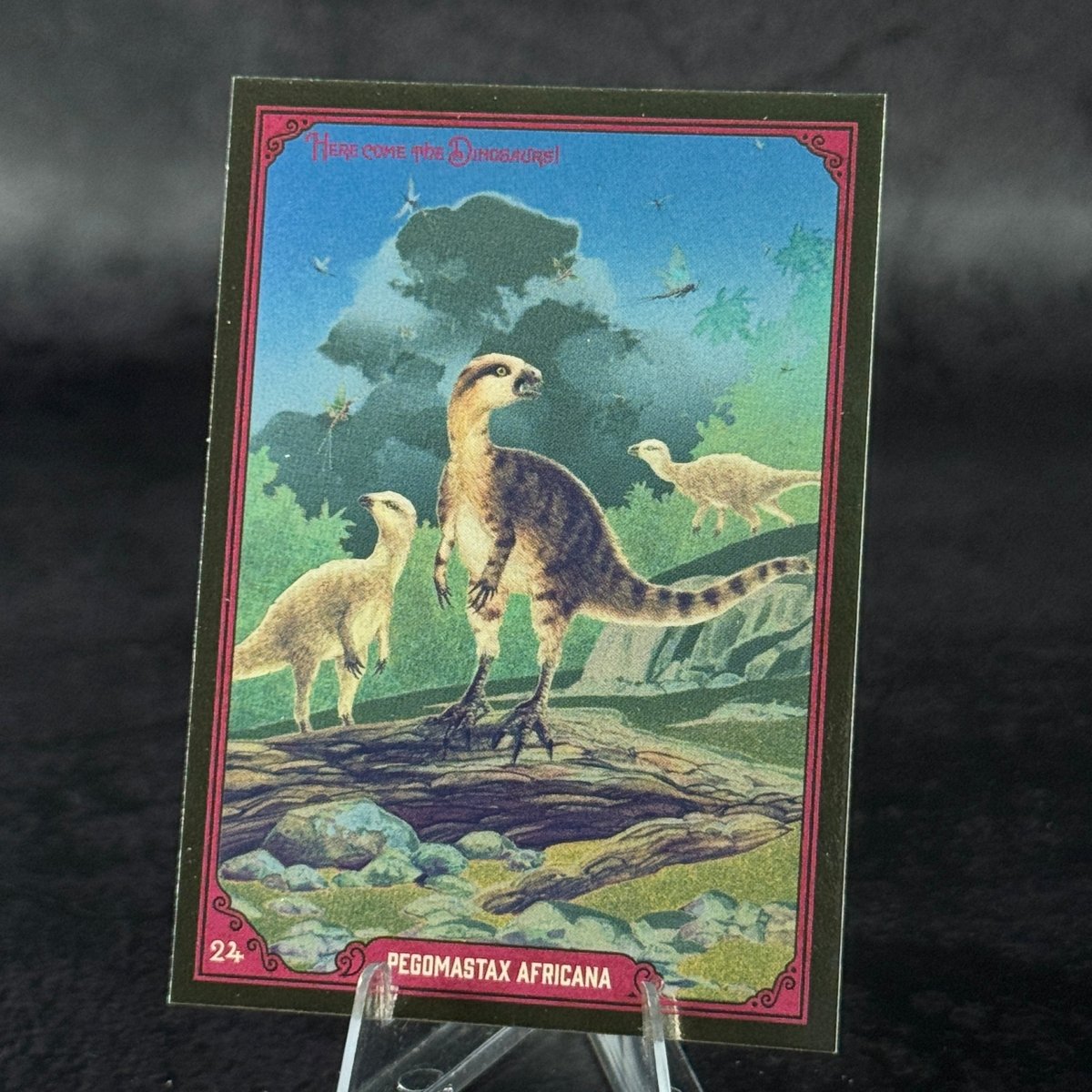 024 | PEGOMASTAX AFRICANA by Davide De Cubellis | BraccoTCG