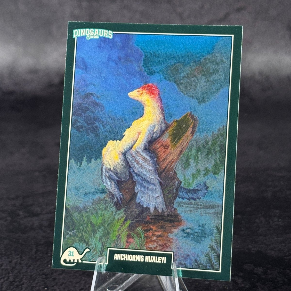 031 | ANCHIORNIS HUXLEYI by Domenico Cava | BraccoTCG