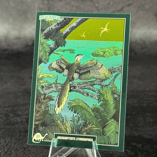 033 | ARCHAEOPTERYX LITHOGRAPHICA by Jacopo Starace | BraccoTCG