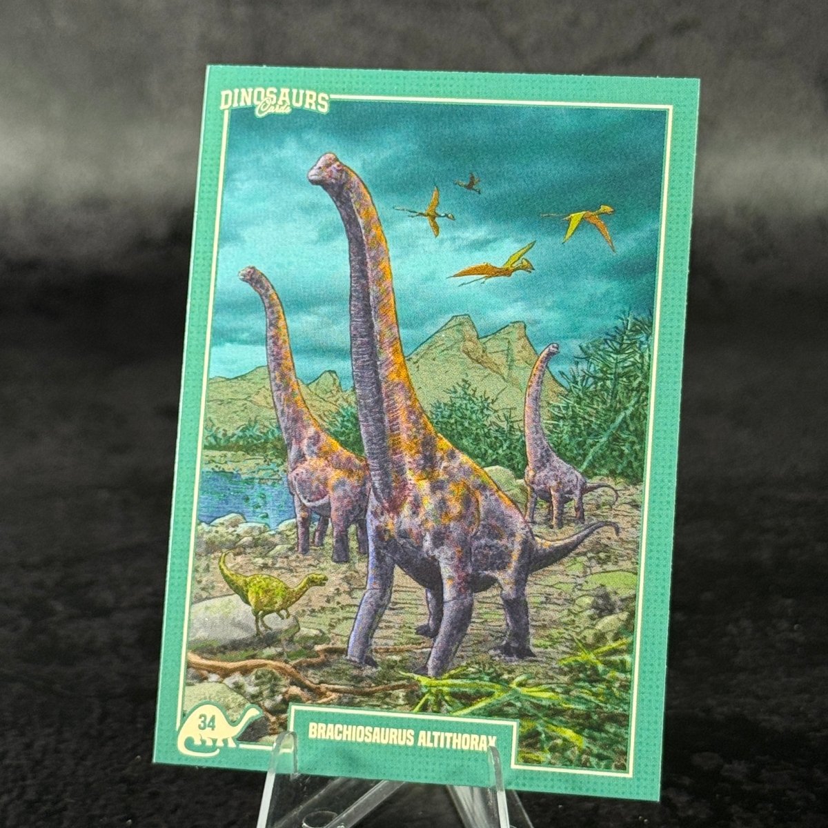 034 | BRACHIOSAURUS ALTITHORAX by Andrea Borgioli | BraccoTCG