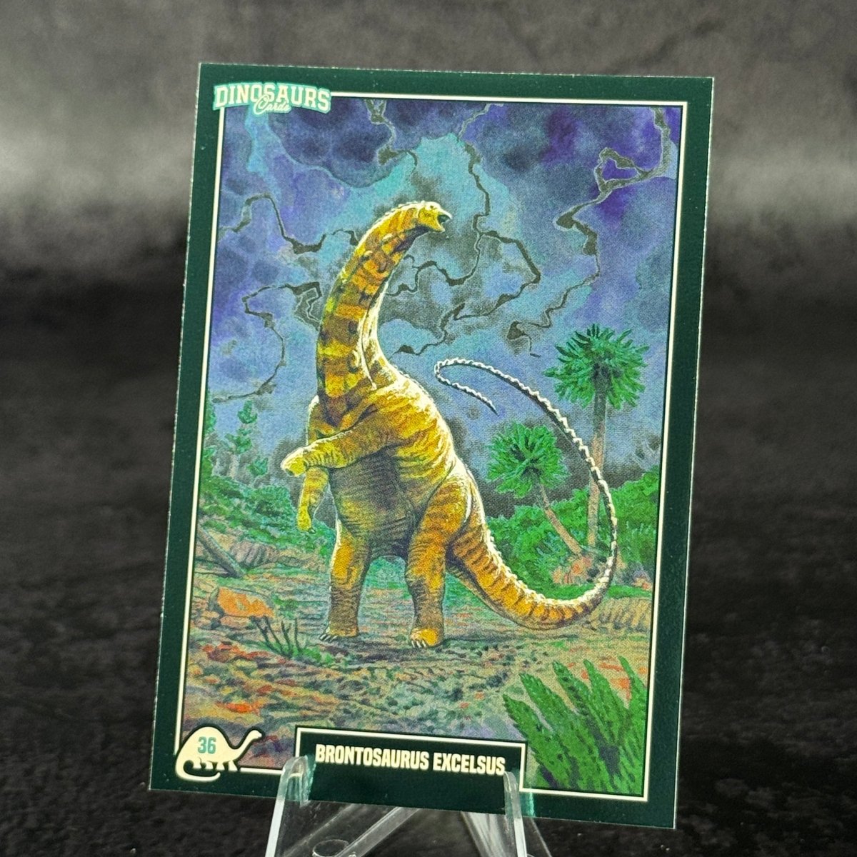 036 | BRONTOSAURUS EXCELSUS by Paolo Marro | BraccoTCG