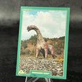 037 | CAMARASAURUS GRANDIS by Simone Bevacqua | BraccoTCG