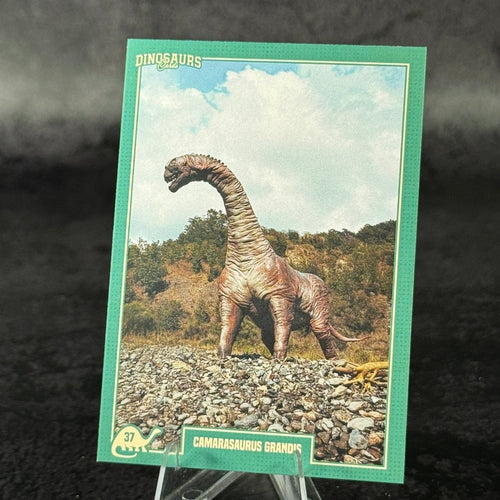 037 | CAMARASAURUS GRANDIS by Simone Bevacqua | BraccoTCG