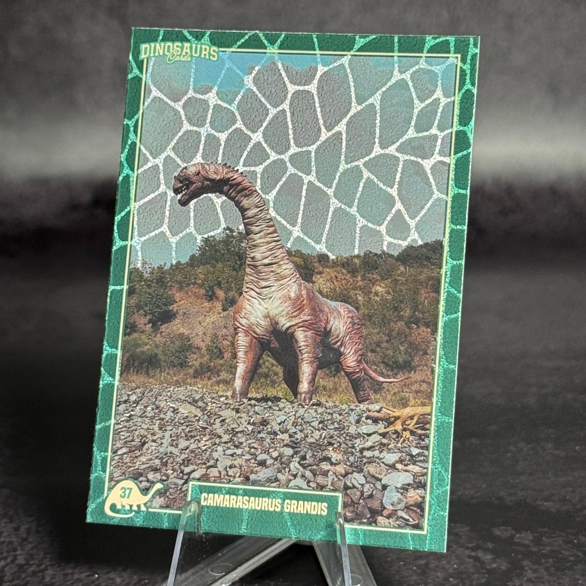 037 | CAMARASAURUS GRANDIS by Simone Bevacqua | BraccoTCG