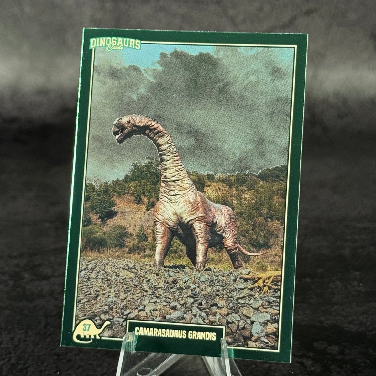 037 | CAMARASAURUS GRANDIS by Simone Bevacqua | BraccoTCG
