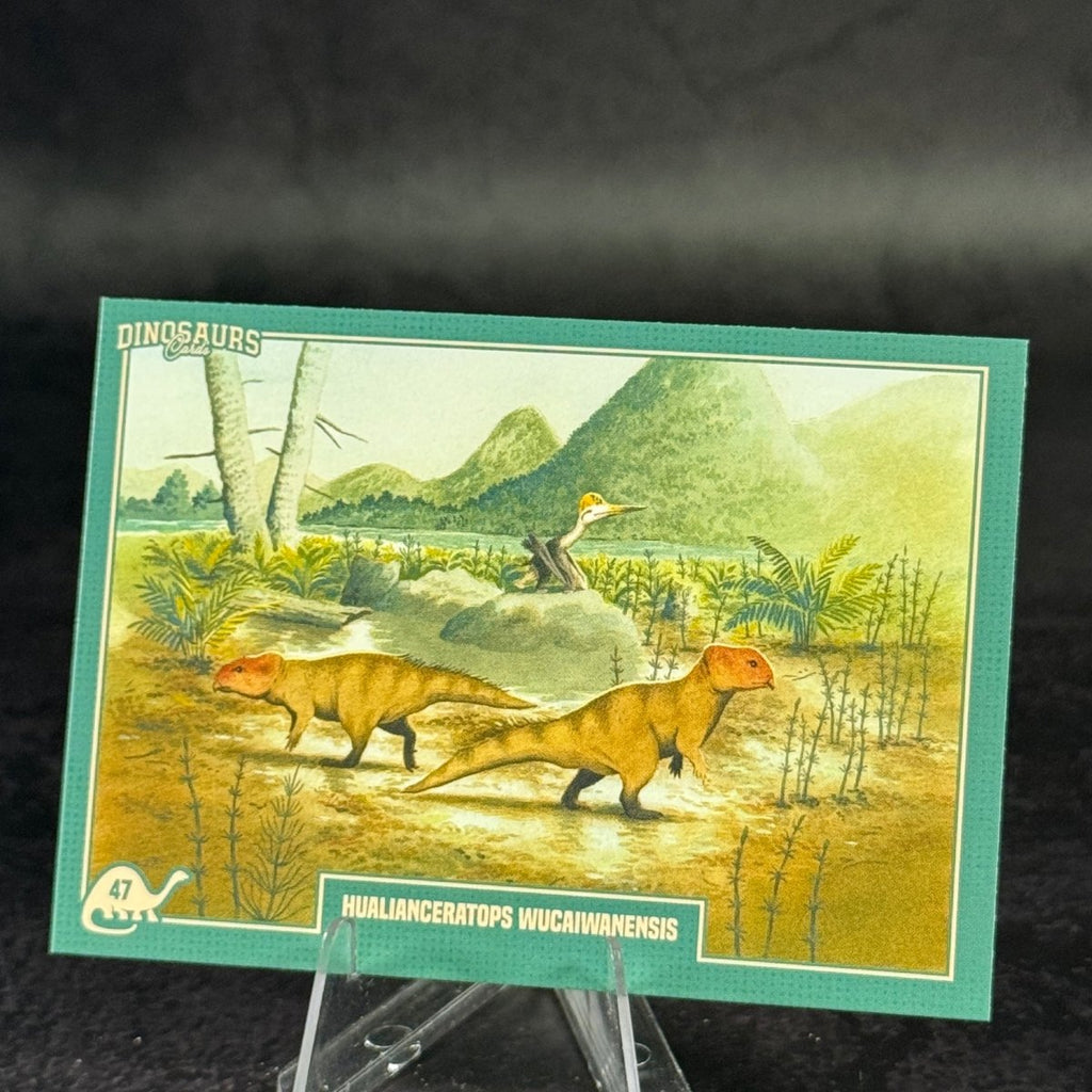 047 | Hualianceratops wucaiwanensis by Lorenzo Sangiò | BraccoTCG