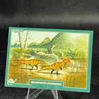 047 | Hualianceratops wucaiwanensis by Lorenzo Sangiò | BraccoTCG