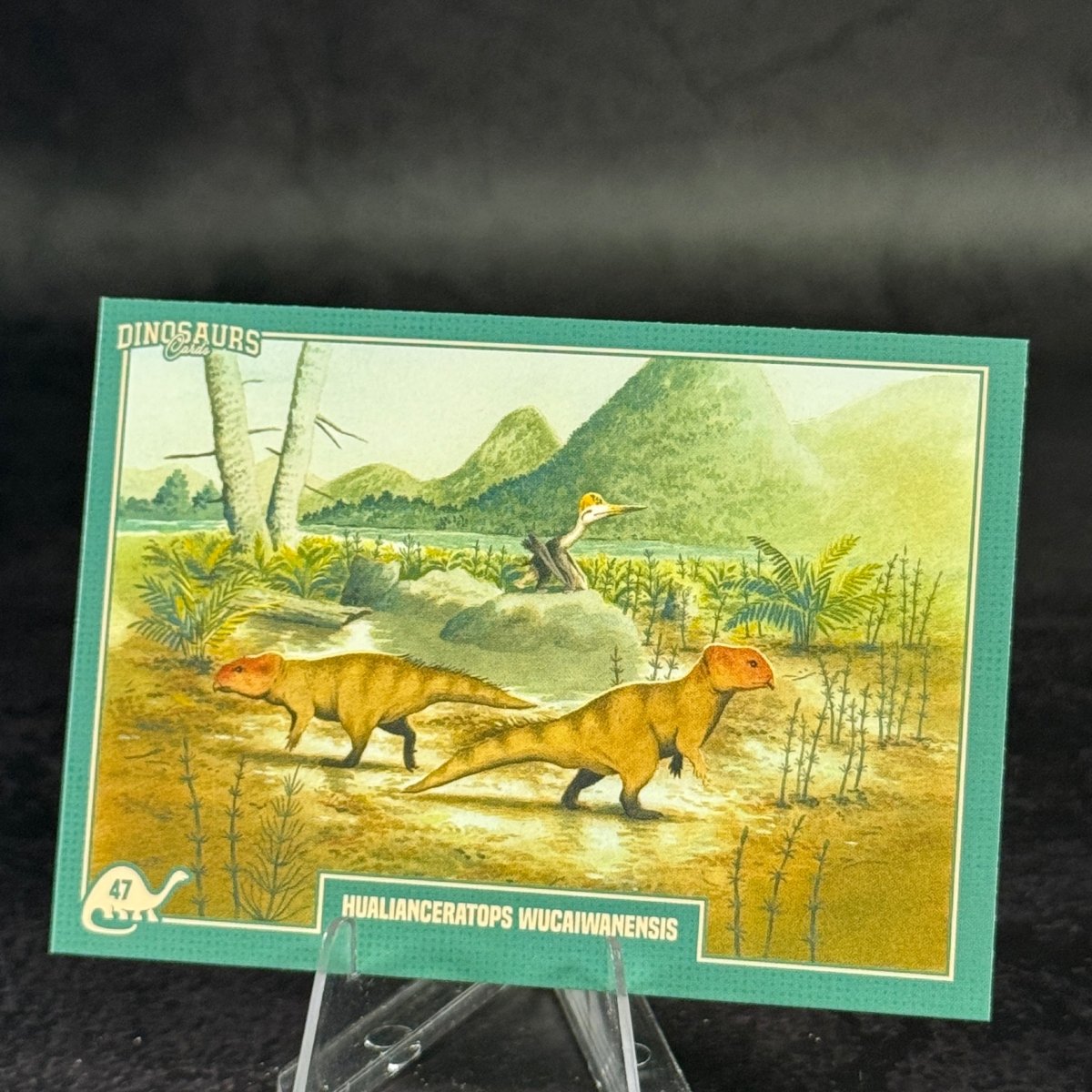 047 | Hualianceratops wucaiwanensis by Lorenzo Sangiò | BraccoTCG