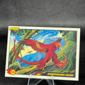 080 | SINORNITHOSAURUS MILLENII by Valentina Napolitano | BraccoTCG