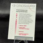 141 | ALAMOSAURUS SANJUANENSIS by Sara Ruggeri | BraccoTCG