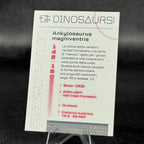 142 | ANKYLOSURUS MAGNIVENTRIS by Martoz | BraccoTCG