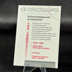 144 | EDMONTOSAURUS ANNECTENS by Keivan Dow | BraccoTCG