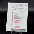 145 | MAGVAROSAURUS DACUS by Pablo Cammello | BraccoTCG