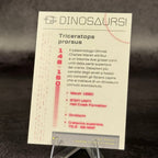 148 | TRICERATOPS PRORSUS by Giakus | BraccoTCG