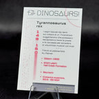 149 | TYRANNOSAURUS REX by Attila Schwanz | BraccoTCG