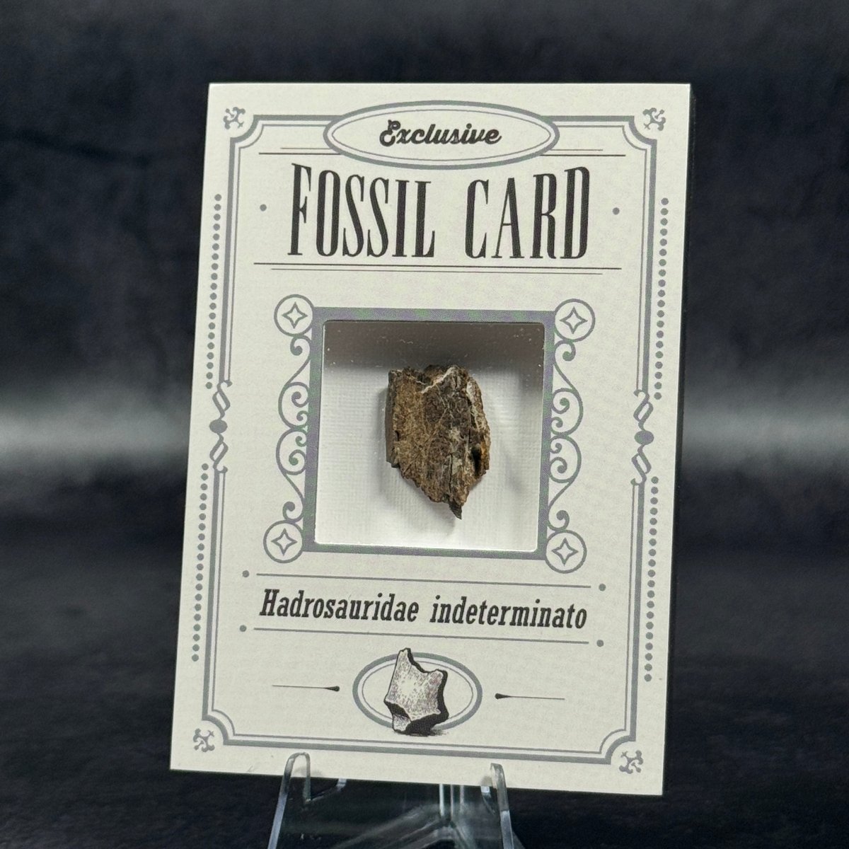 Fossil exclusive | BraccoTCG
