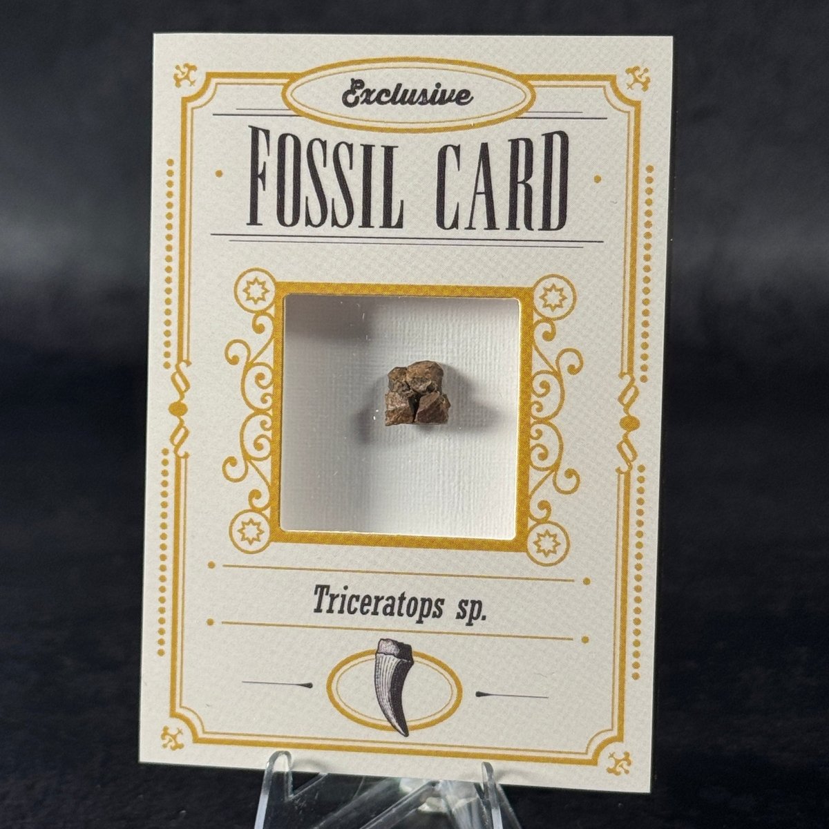 Fossil exclusive | BraccoTCG