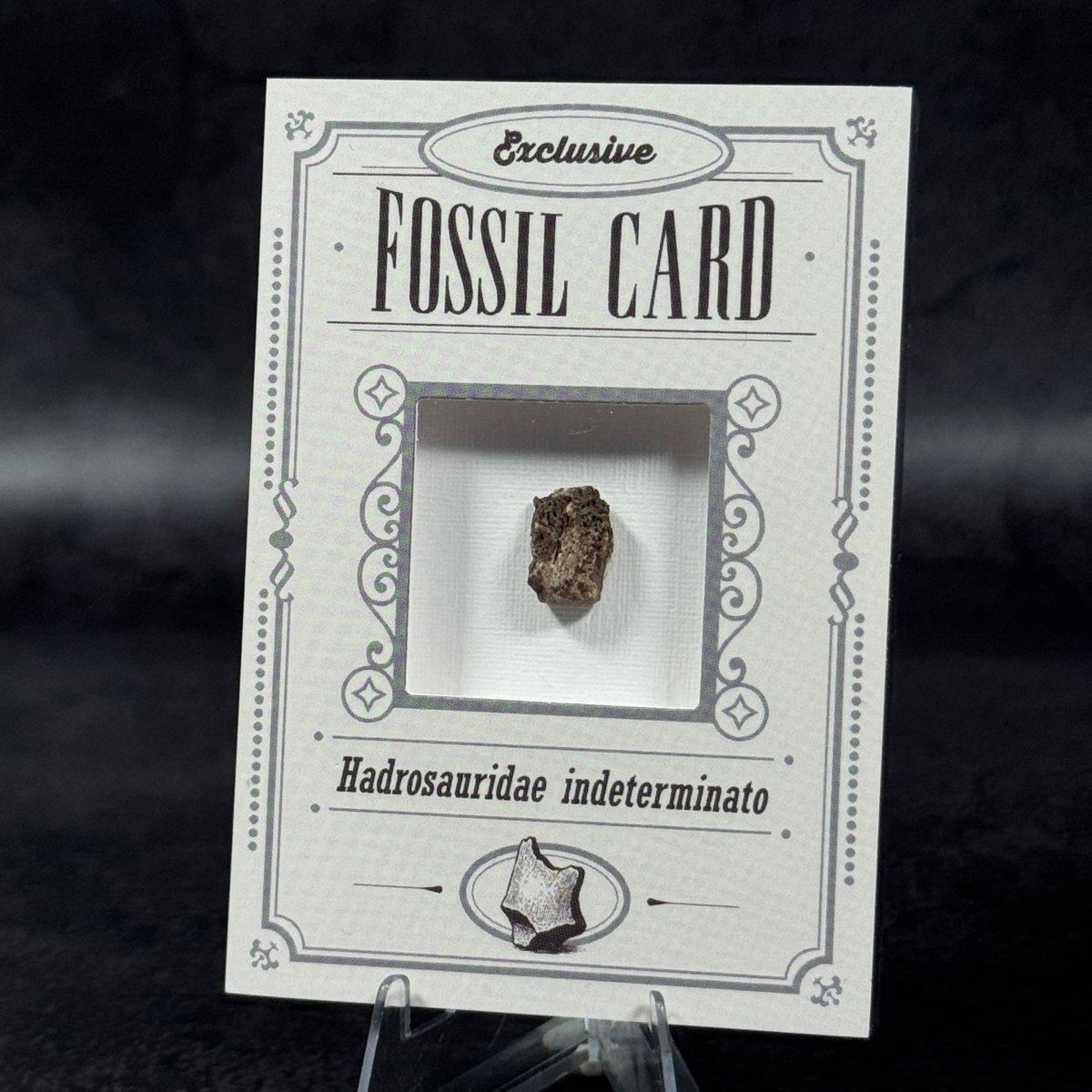 Fossil exclusive | BraccoTCG