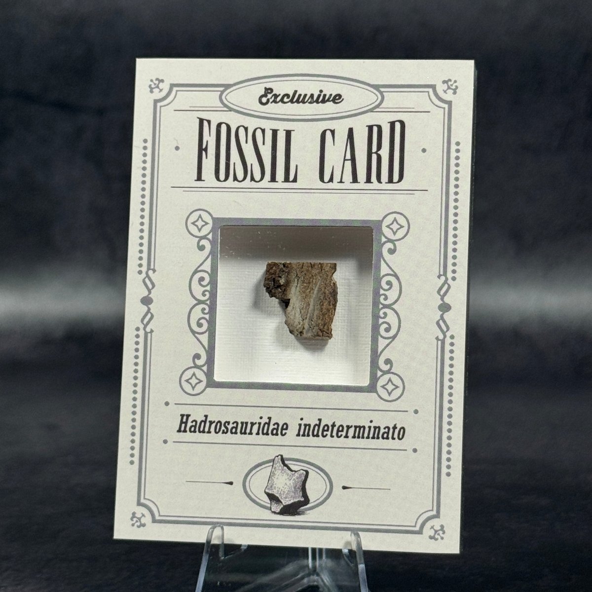 Fossil exclusive | BraccoTCG