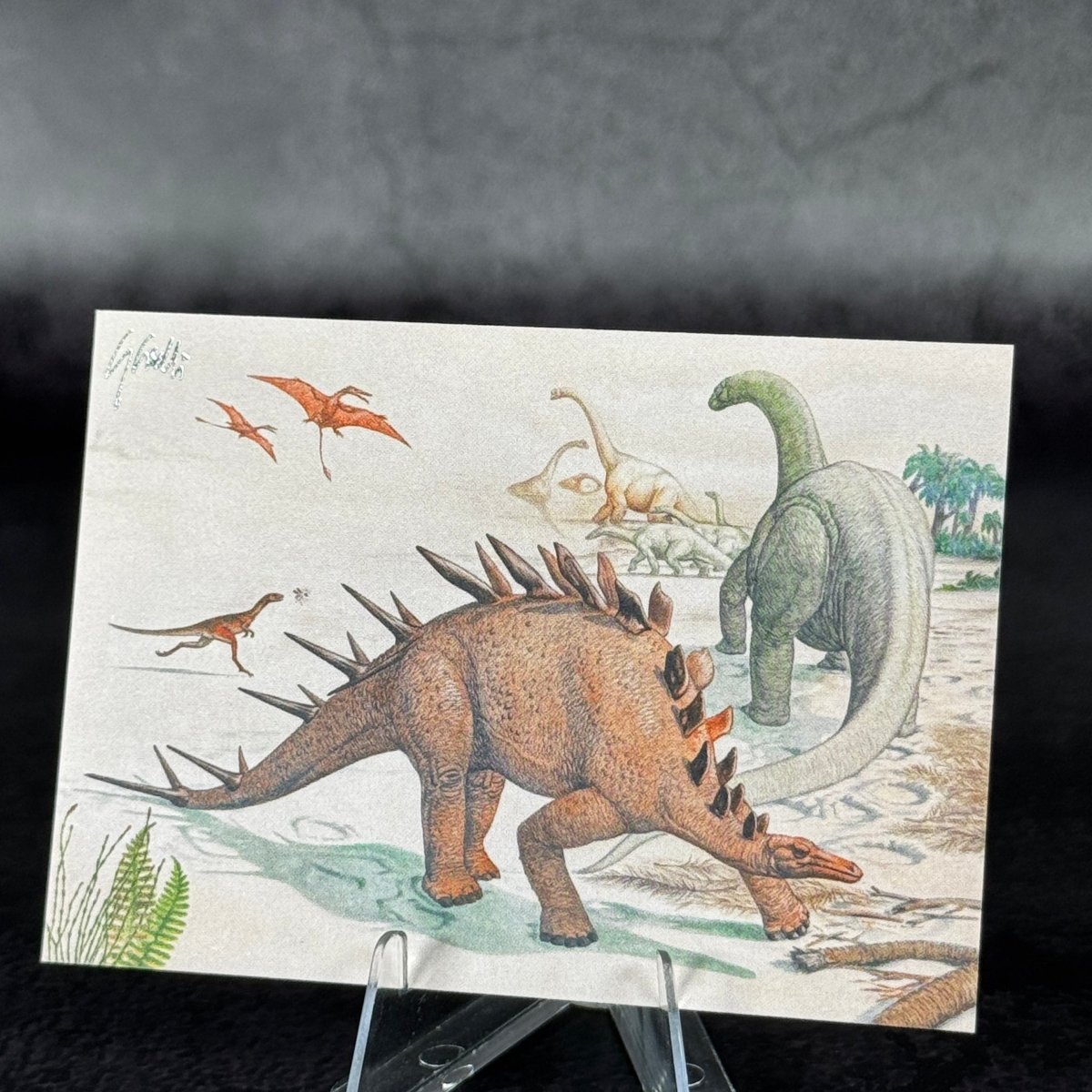 M3 | Dinosauri d'Africa by Giovanni Caselli | BraccoTCG