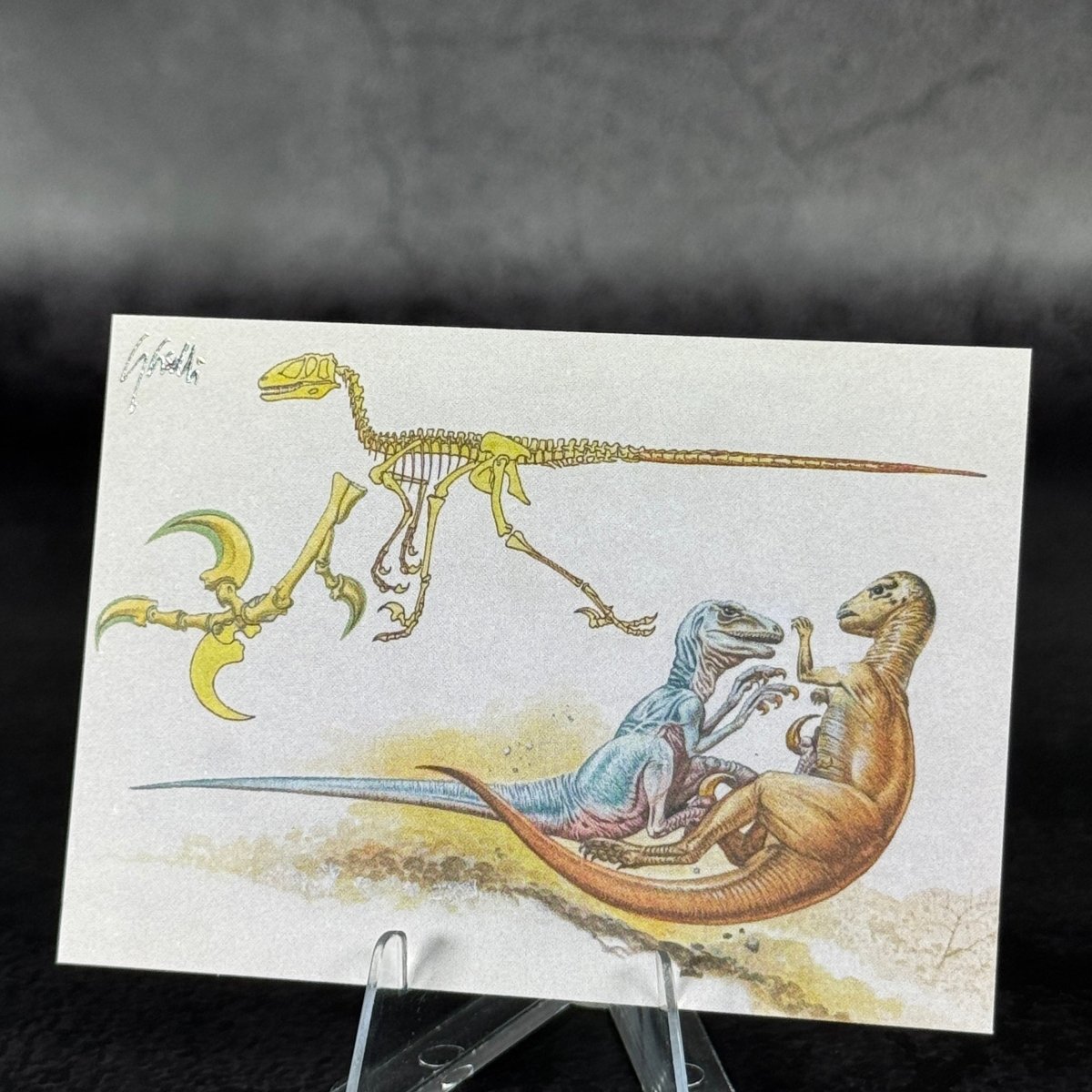 M8 | L'artiglio terribile by Giovanni Caselli | BraccoTCG