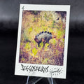 S6 | Stegosaurus "Scully" by Mariaelena Mariotti | BraccoTCG
