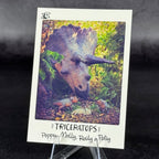 S7 | Triceratops "Poppy, Molly, Rolly e Polly" by Mariaelena Mariotti | BraccoTCG