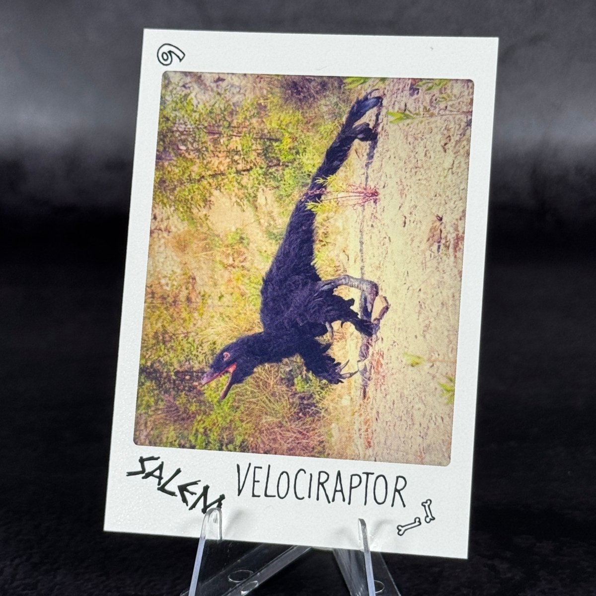 S9 | Velociraptor "Salem" by Mariaelena Mariotti | BraccoTCG