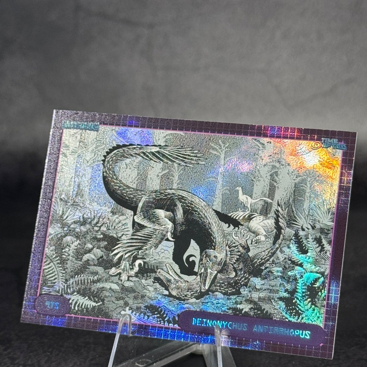 TS09 | Deinonychus antirrhopus by Andrea Morandini | BraccoTCG